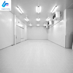 热带地区商用大容量冷库